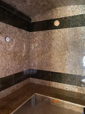 Domeniu exclusivist 17.000 mp | Vilă luxury cu piscină & SPA – Cărbunari - imagine 14