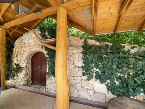 Domeniu exclusivist 17.000 mp | Vilă luxury cu piscină & SPA – Cărbunari - imagine 9