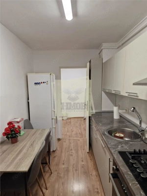 Apartament 3 camere cu pivnita zona Terezian - imagine 13