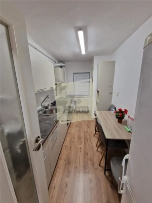 Apartament 3 camere cu pivnita zona Terezian - imagine 15