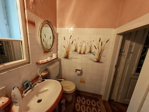 Vand casa D+P+E,zona Bld.Victor Babes - imagine 15