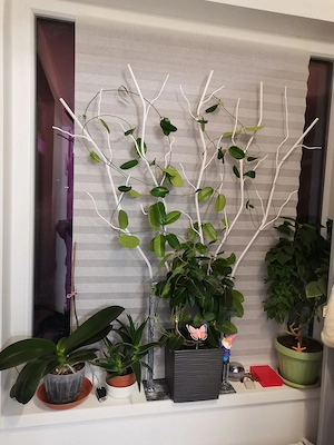 Decoratiuni din metal - imagine 4