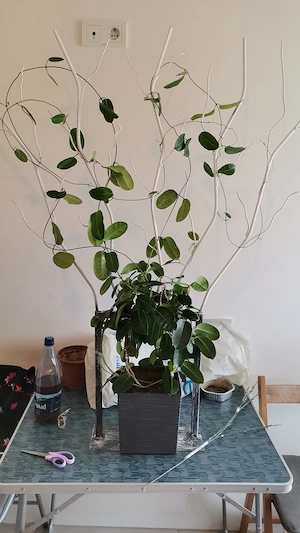 Decoratiuni din metal - imagine 3