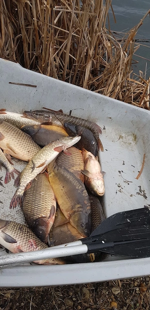 Balta de pescuit  - imagine 9