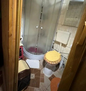 ZONA ALEXANDRU CEL BUN  -  CASA 4 CAMERE ,TEREN 216 MP - imagine 9