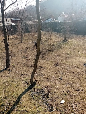 Teren de vânzare  - imagine 3