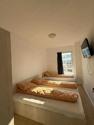 Inchiriem proprietati pentru firme in Oradea