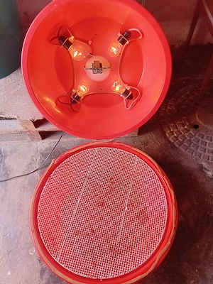 Se vinde incubator. - imagine 2