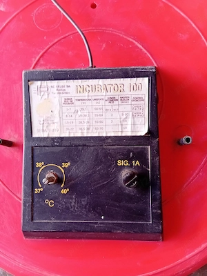 Se vinde incubator.