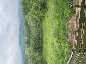 Vând casă tradițională în  Bucovina ,localitatea Cacica - imagine 5