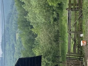Vând casă tradițională în  Bucovina ,localitatea Cacica - imagine 2