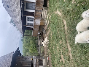 Vând casă tradițională în  Bucovina ,localitatea Cacica - imagine 7