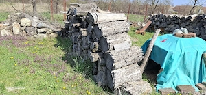 vand lemn de foc - imagine 2