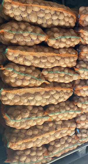 cartofi alb de consum