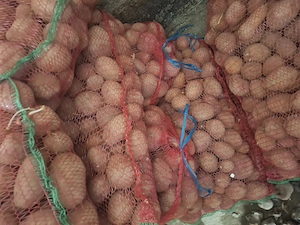 Vând cartofi roși pentru consum 