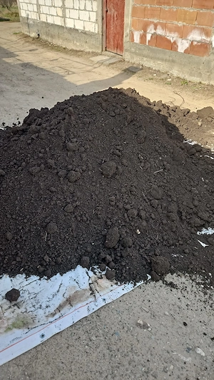 Pământ negru vegetal 