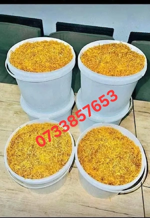 Calitate superioară Belgia si olanda 