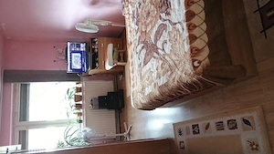 Apartament cu doua camere decomandat  - imagine 2