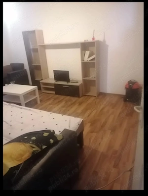 Menaj si curatenie apartament 600 ron pe luna - imagine 4