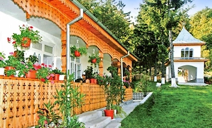 Teren intravilan 3480 mp Jariștea   liniște totală, utilități, ideal casă de vacanță sau fermă - imagine 5