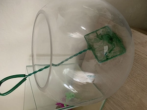 Acvarii 12L+6.5L+1.2L - imagine 3