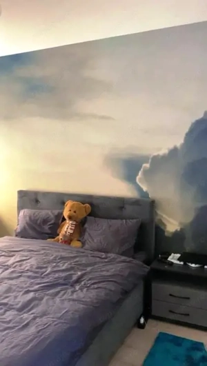 Drumul Taberei-Ghencea-Brasov, 10 min Metrou Raul Doamnei - imagine 8