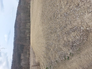 Teren în comuna Drăganu