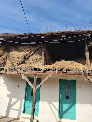 fan de vanzare - imagine 2