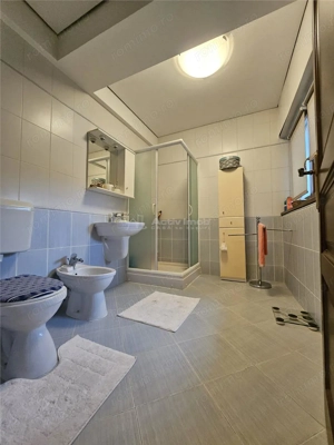 Vanzare Vila   D+P+M 350 mp - B #259;neasa   Avia #539;iei - imagine 16