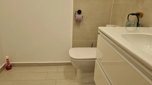 Vitan , Rin Grand Hotel  - imagine 17