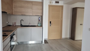 Vitan , Rin Grand Hotel  - imagine 11