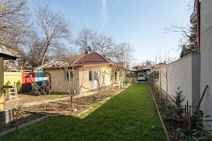Casă cu curte generoasă pe o stradă liniștită din Bucureștii Noi - imagine 3