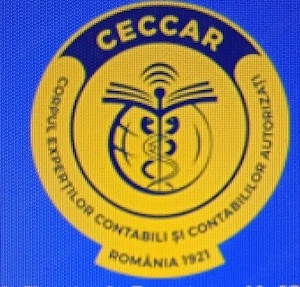 Servicii contabilitate IMM -uri