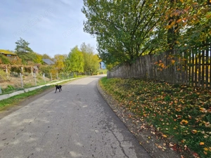 Teren intravilan 1000 mp, utilități, lângă Spital Călinești - imagine 3
