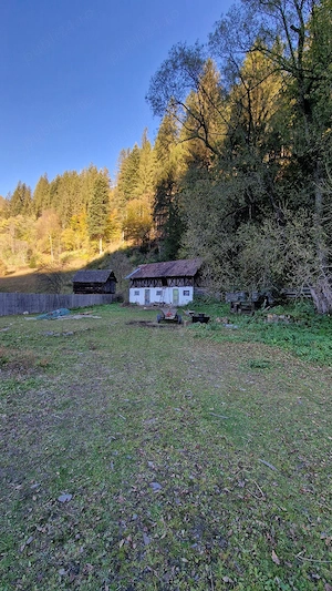 Teren de vanzare intravilan Voineasa - imagine 5