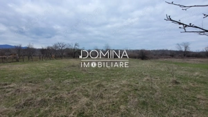 Vânzare teren 4364 mp, în comuna Crasna - sat Crasna - imagine 2