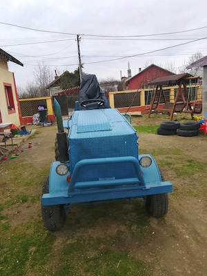 Dâmbovița poronica  - imagine 3