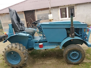 Dâmbovița poronica  - imagine 2