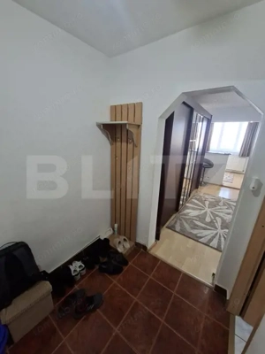 Garsoniera tip D, Aluminei