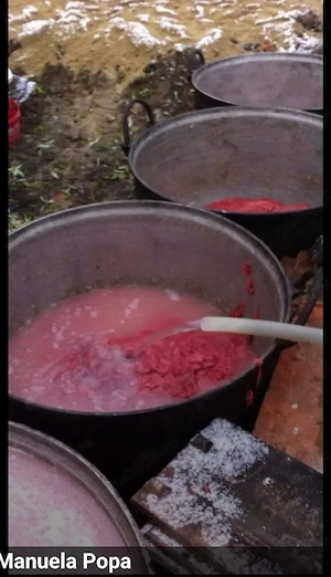 Ceaun din tuci capacitate 90 litri 