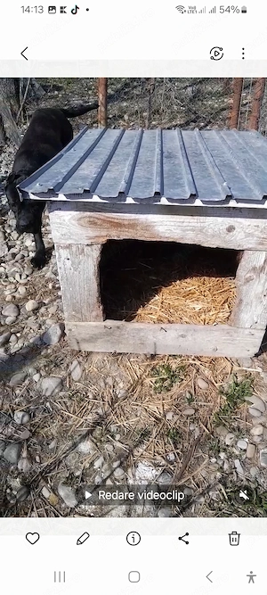 Cușcă câine  talie mare 100 ron buc - imagine 2