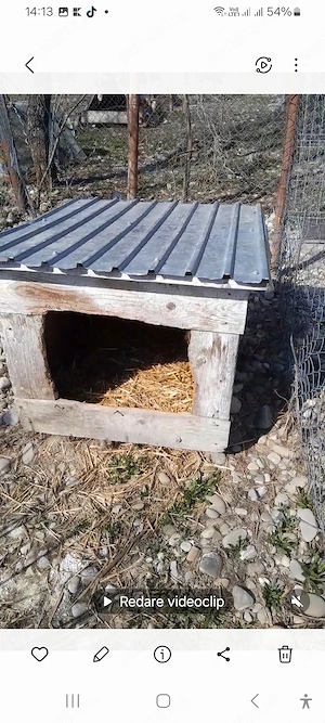 Cușcă câine  talie mare 100 ron buc - imagine 4