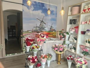 Proprietar spatiu Barnutiu - imagine 3