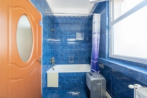 Vânzare, Vilă, 7 camere, zona Parcul Carol - imagine 9