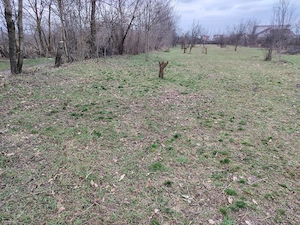 Vând teren intravilan