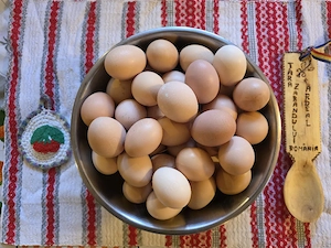 Vând ouă de casă BIO