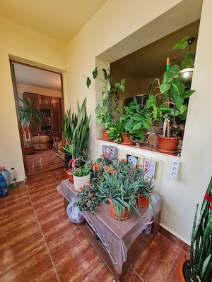 Direct proprietar  apartament 3 camere decom 75mp str. Avram Iancu - imagine 6