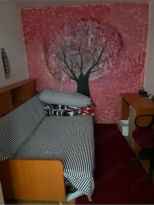 Vand apartament 2 camere direct de la proprietar - imagine 4