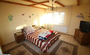 De vanzare sau de închiriat imobil cu multiple destinatii, in Plesoiu-Olt. Direct de la proprietar! - imagine 4
