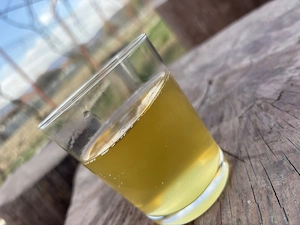 Vin alb de casă de vânzare! 